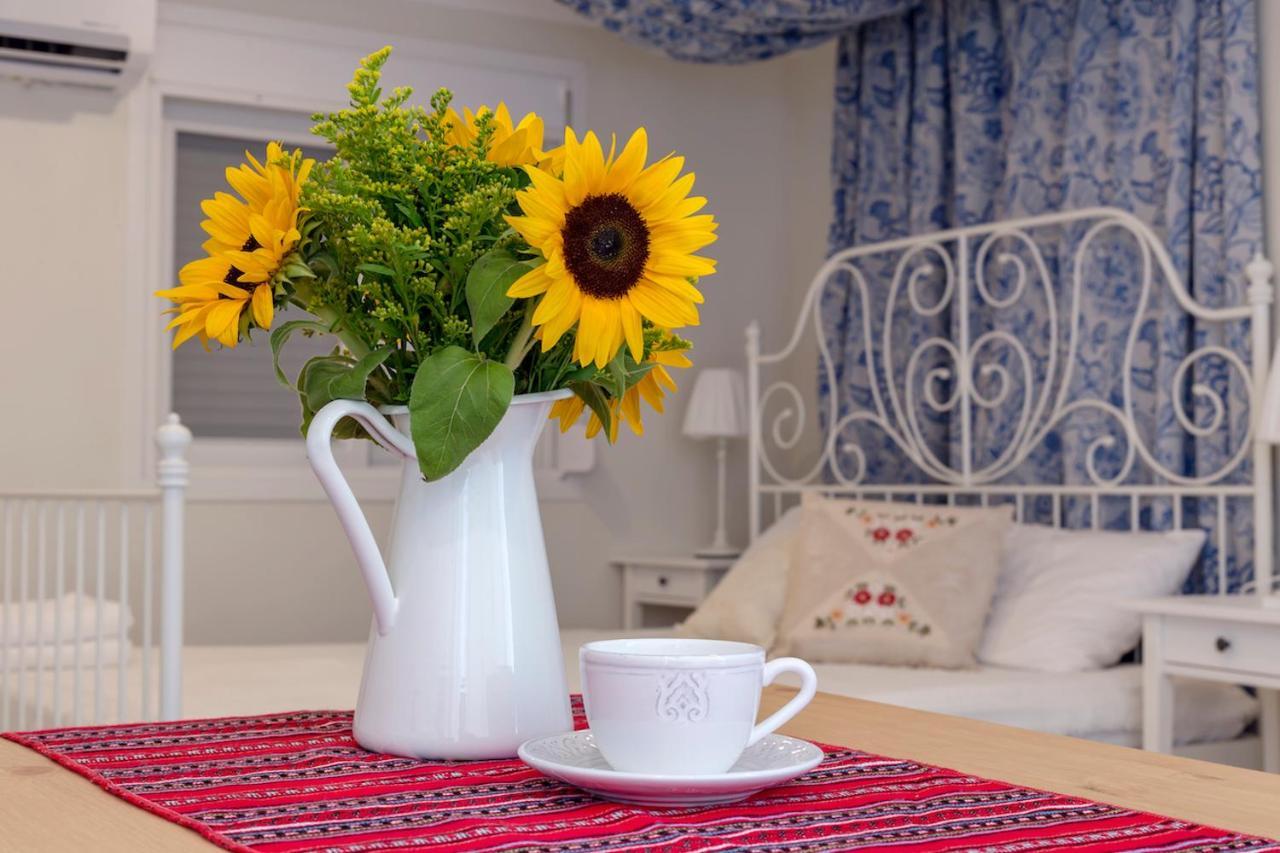 Blue And White Apartment Vipgreece Афины Экстерьер фото